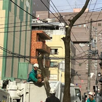 画像483