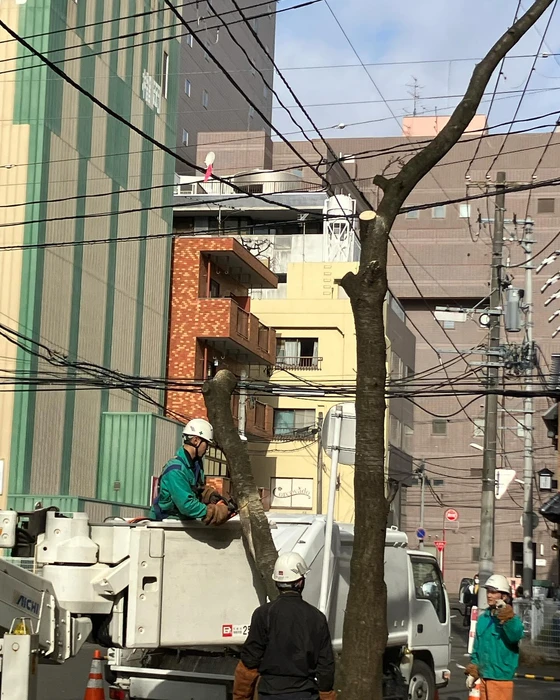 画像483
