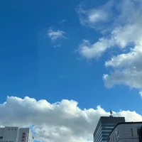 画像490