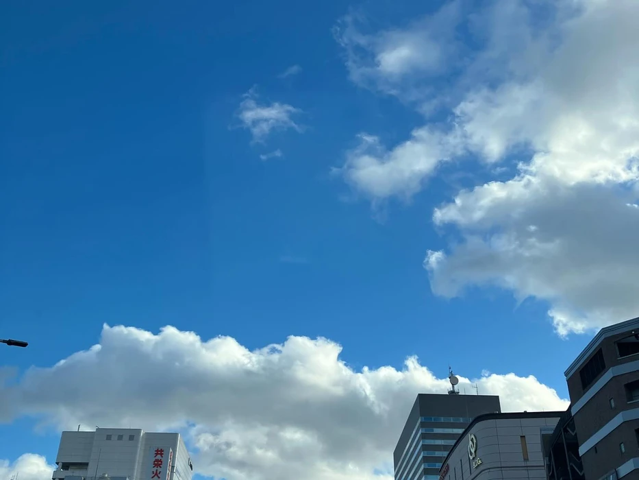 画像490