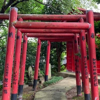 画像500