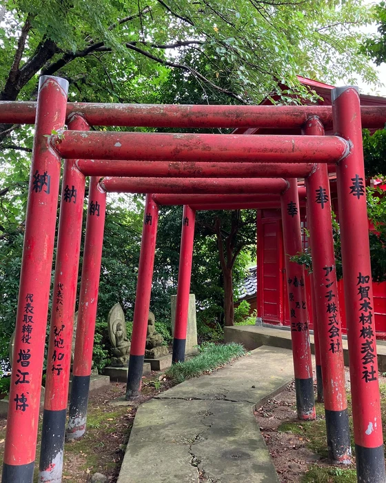 画像500