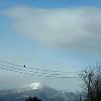 画像520