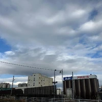 画像522