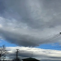 画像525