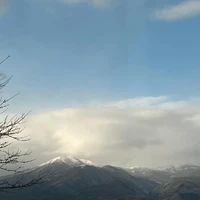 画像528