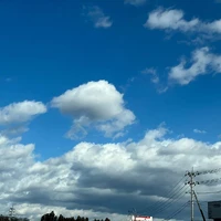 画像534