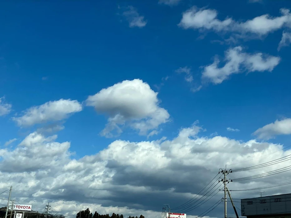 画像534