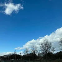 画像535