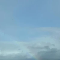 画像537