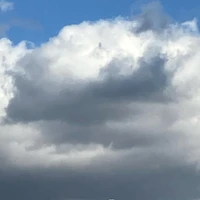 画像540
