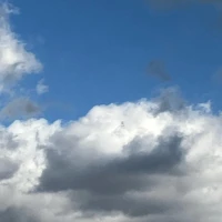 画像541