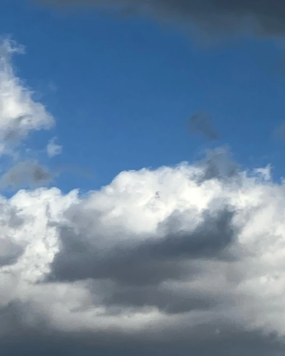 画像541
