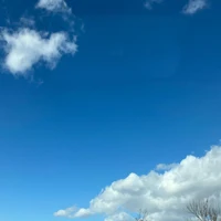 画像542