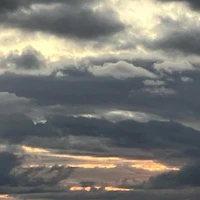 画像559
