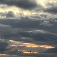 画像563