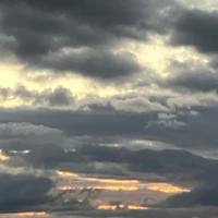 画像564