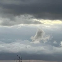 画像565