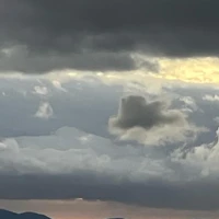 画像566