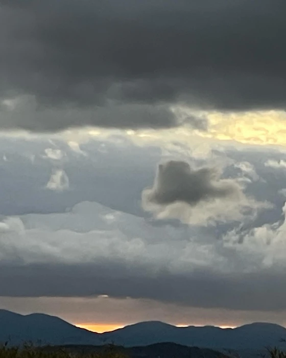 画像566