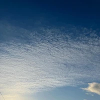 画像583