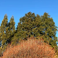 画像584