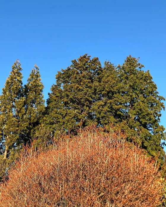 画像584