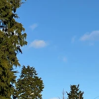 画像585