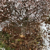 画像592