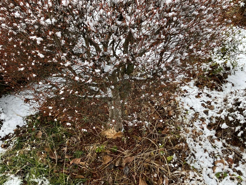 画像592