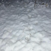 画像595