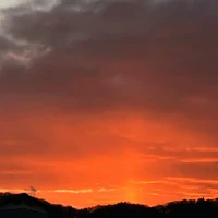 画像608