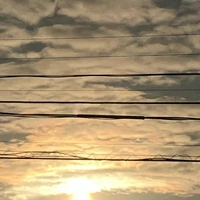 画像619