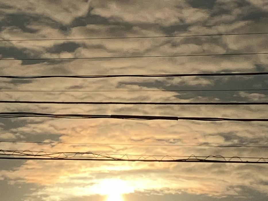 画像619