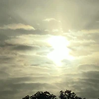 画像624