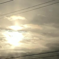 画像627