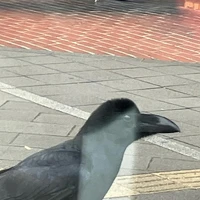 画像632
