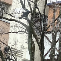 画像634