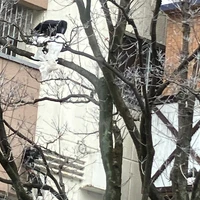 画像635