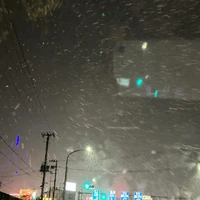 画像697